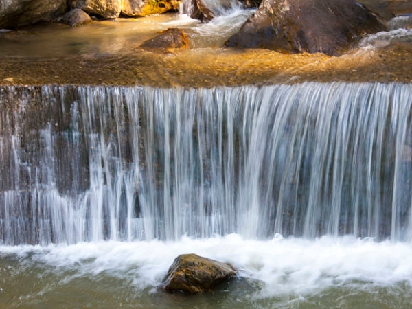 காங்க்டோக்