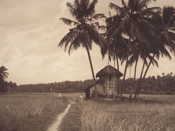 பழைய வயல் வீடு பழைய வயல் வீடு