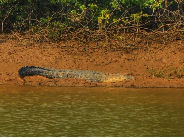 ஒடிசாவின் கிராமங்கள் ஒடிசாவின் கிராமங்கள்