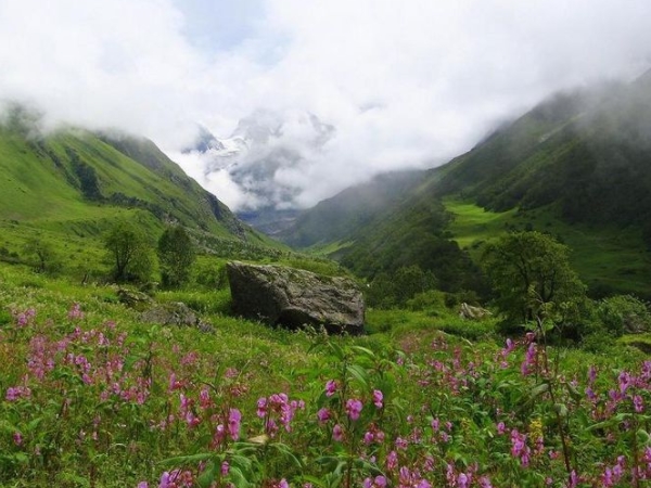 மலர்ப்பள்ளத்தாக்கு தேசிய பூங்கா