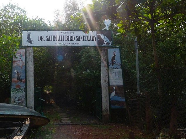 சலீம் அலி பறவைகள் சரணாலயம்