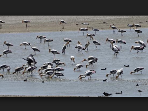  சுற்றுலா அம்சங்கள்