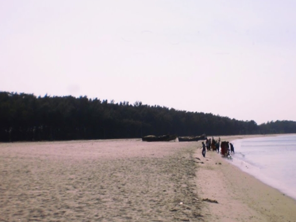 தற்போது என்ன வந்தது