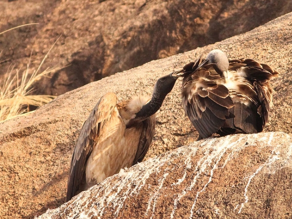 சுற்றுலா