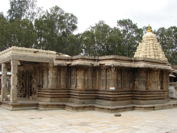 தமிழர்கள் கட்டிய வைத்யநாதேஸ்வரா கோயில்