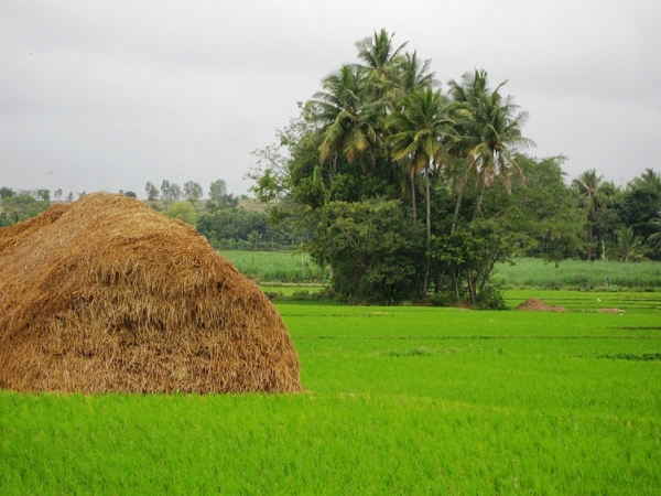 வேண்டியதை அருளும் திருவரங்கப்பட்டிணம்