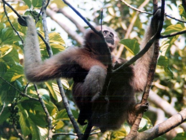 படகு சவாரி 