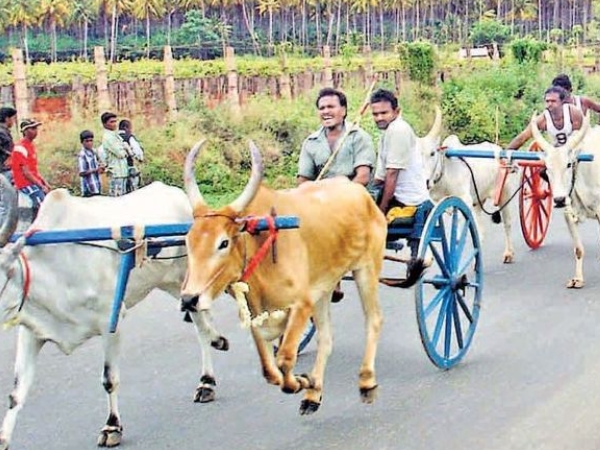 தேனி: தேனி: