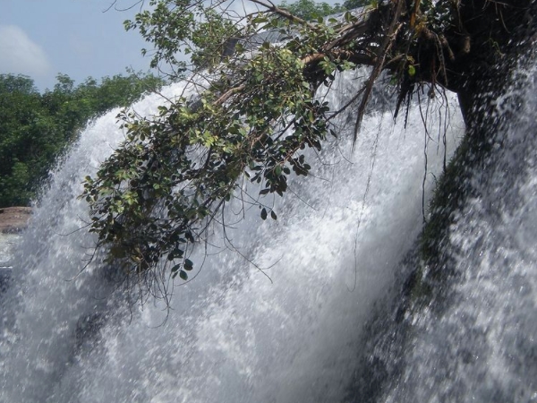 திற்பரப்பு அருவி திற்பரப்பு அருவி