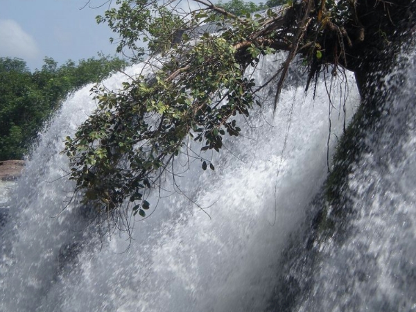 திற்பரப்பு அருவி