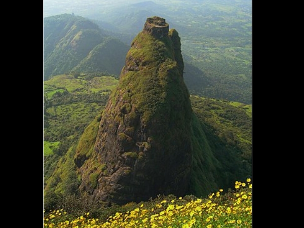 ராணி காலவன்டின்