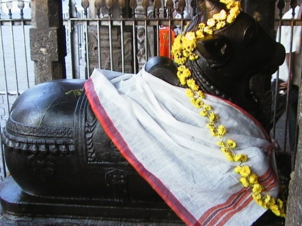 சிறப்புகள் சிறப்புகள்