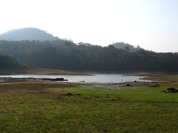 பெரியார் காட்டுயிர் சரணாலயம்