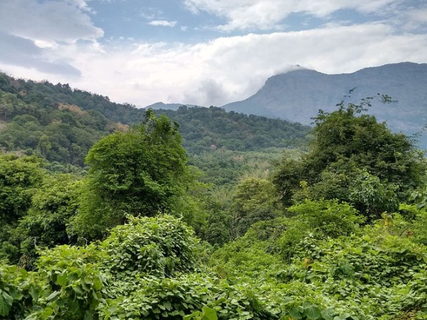 ராமநதி அணை ராமநதி அணை