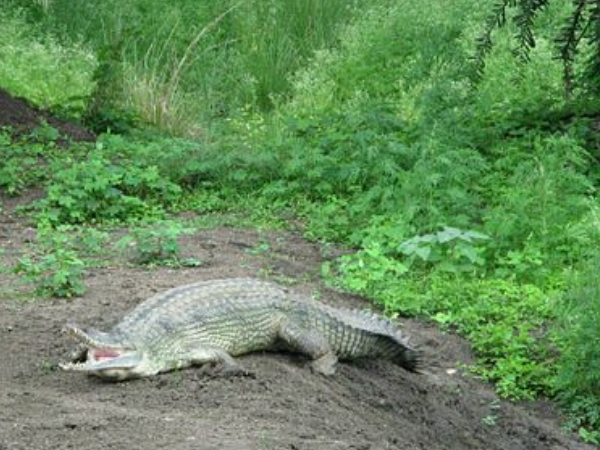  வான் விஹார் தேசிய பூங்கா 