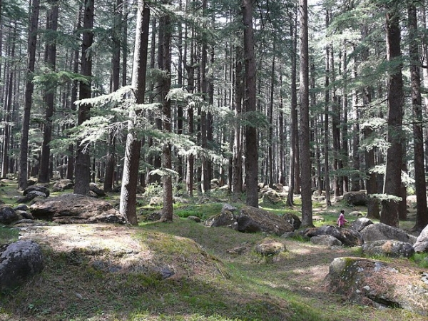  மனித குல மியூசியம் 