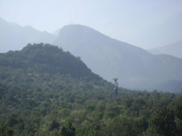 சின்னார் வனவிலங்கு சரணாலயம்