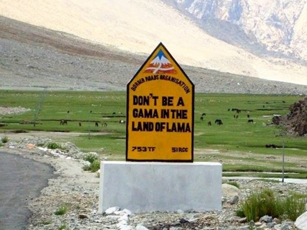 16. DON'T BE A GAMA IN THE LAND OF LAMA 16. DON'T BE A GAMA IN THE LAND OF LAMA