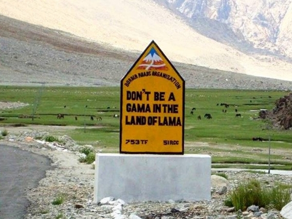 16. DON'T BE A GAMA IN THE LAND OF LAMA