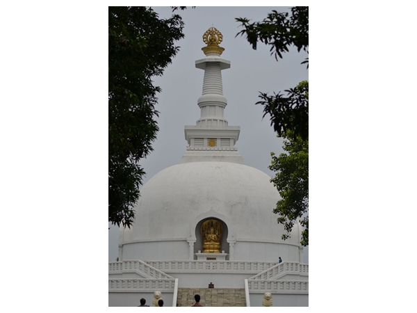 வைஷாலி, பீகார் வைஷாலி, பீகார்