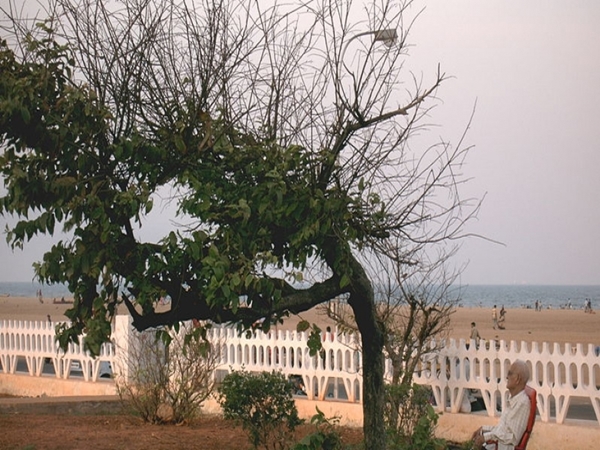 மெரினா பீச் மெரினா பீச்