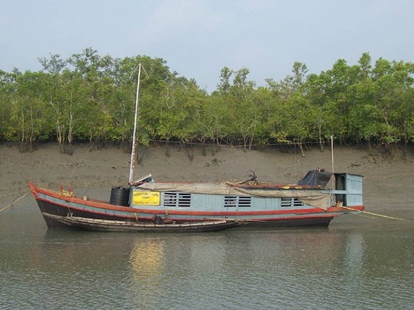 21. சுந்தர்வனக் காட்டில் உங்கள் பீரின் மகிழ்ச்சியை கலந்து விடுங்கள் 21. சுந்தர்வனக் காட்டில் உங்கள் பீரின் மகிழ்ச்சியை கலந்து விடுங்கள்