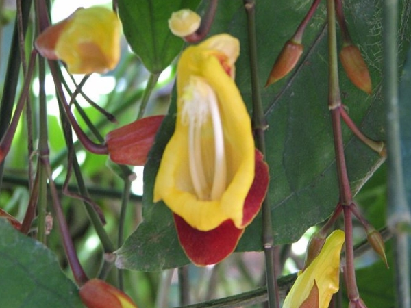 புகைப்படப்பிரியர்களே புகைப்படப்பிரியர்களே