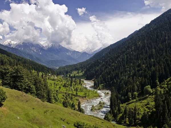  காஷ்மீர் 