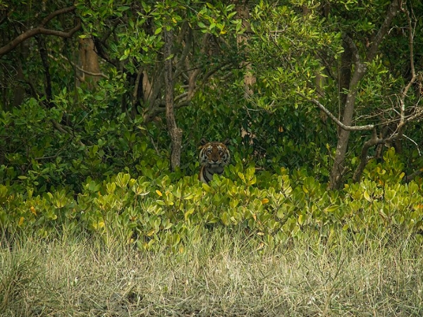 புகைப்படம் எடுப்பவர்களின் சொர்க்கம்