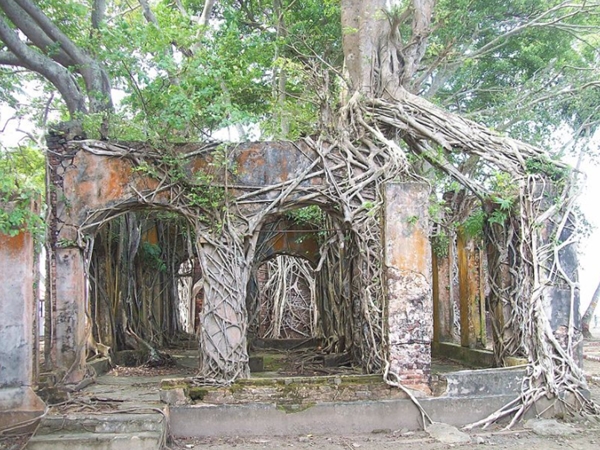 1941ம் ஆண்டுக்கு முன்