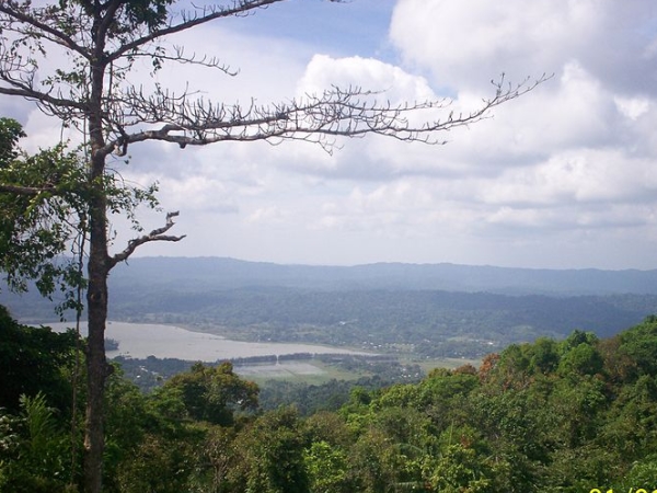 காம்ப்பெல் பே