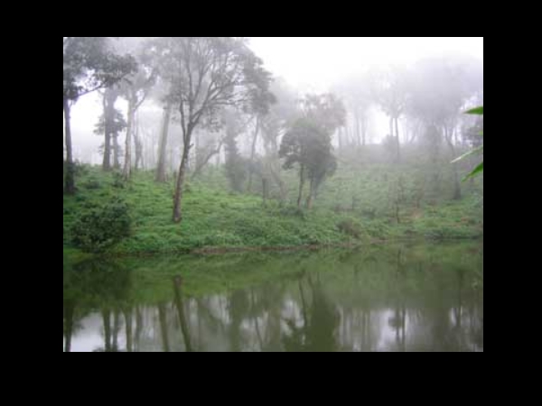 இருமலச்சி நீரோடை: இருமலச்சி நீரோடை: