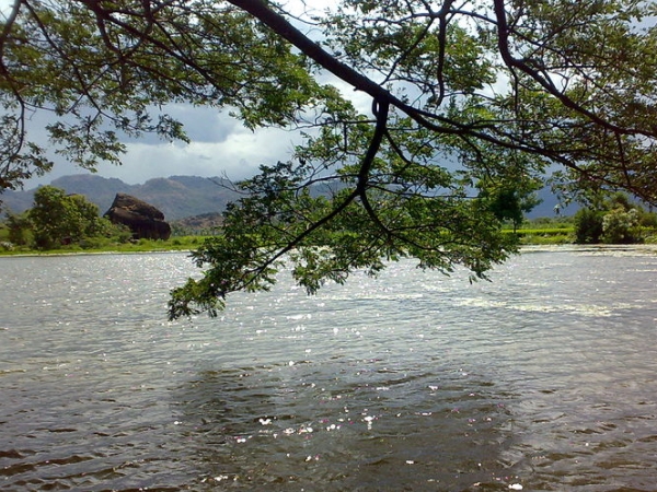 தேனருவி தேனருவி