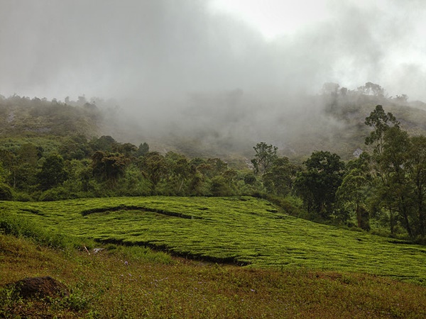 மேகமலை