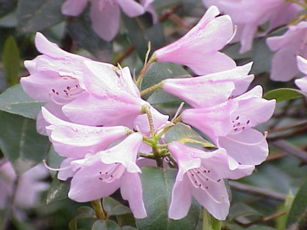  சூடான நீரூற்று