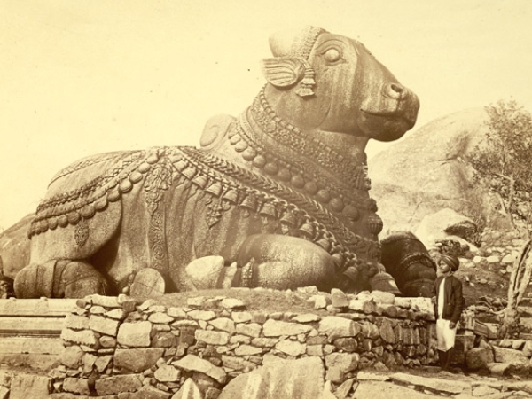 இரண்டு நந்திகள்