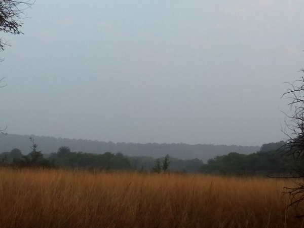 எப்படி செல்லலாம்