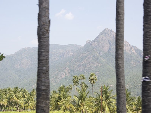 மலைத்தொடர் மலைத்தொடர்
