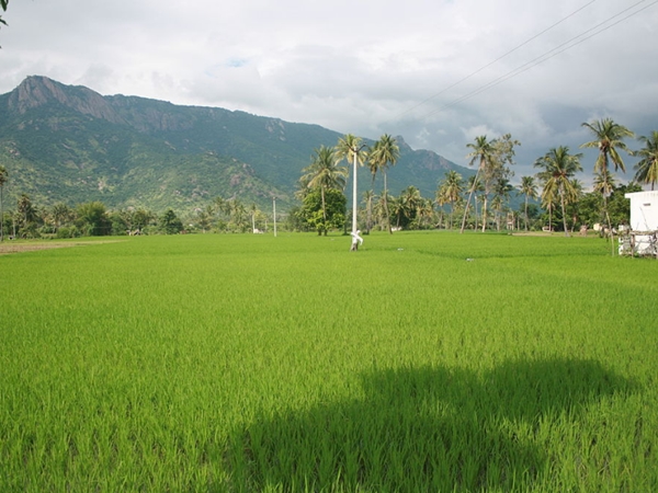 வேலூர் - சென்னை வேலூர் - சென்னை
