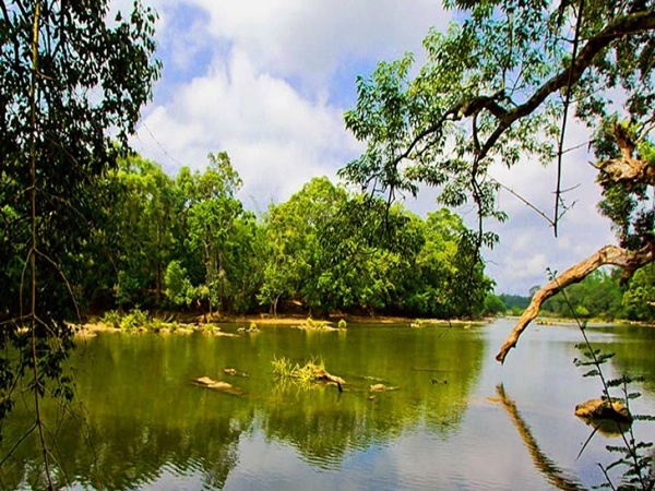 வாலனூர் மீன்பிடி தலம்