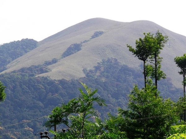 பசுமைவனக் காடு