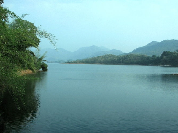 ஆற்றங்கரை செடிகள்