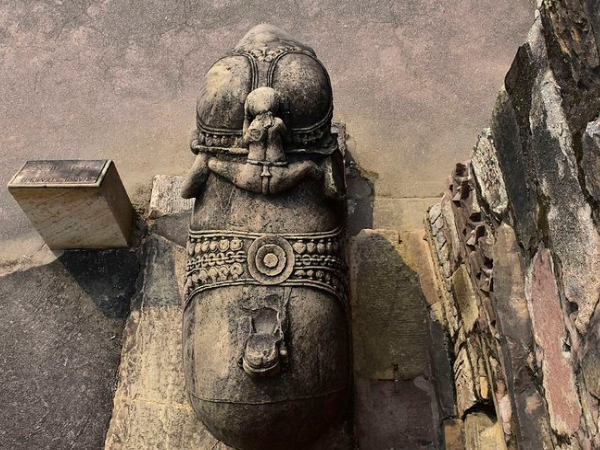 விழாக்கள்