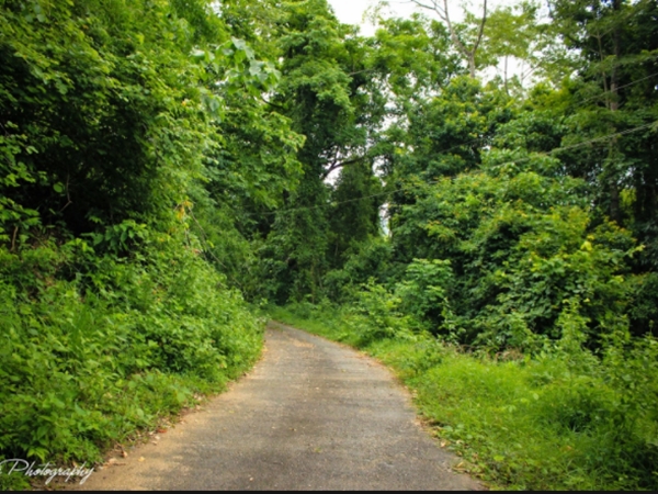 கன்னியாகுமரி காட்டுயிர் வாழ்க்கை