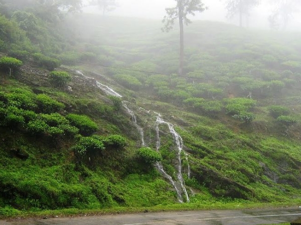 பெயர்க்காரணம் பெயர்க்காரணம்