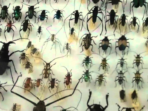 என்னவெல்லாம் இருக்கு ? என்னவெல்லாம் இருக்கு ?