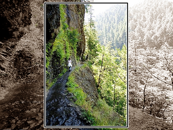 மலையேற்றம்