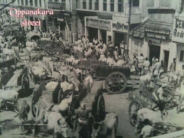 ஸ்டேன்ஸ் பள்ளிக்கூடம் ஸ்டேன்ஸ் பள்ளிக்கூடம்