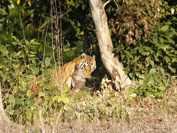 சவால் நிறைந்த பூங்கா சவால் நிறைந்த பூங்கா