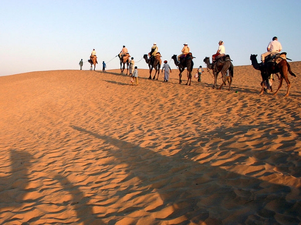 தவறவிடக் கூடாதவை